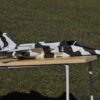 Sepecat Jaguar plans - Image 10